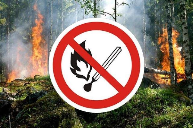 В Томске и 10 районах области ввели особый противопожарный режим