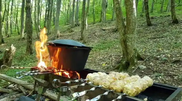 Как найти лучшее место для пикника и при этом соблюсти правила пожарной безопасности?