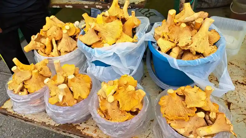 Десять правил тихой охоты