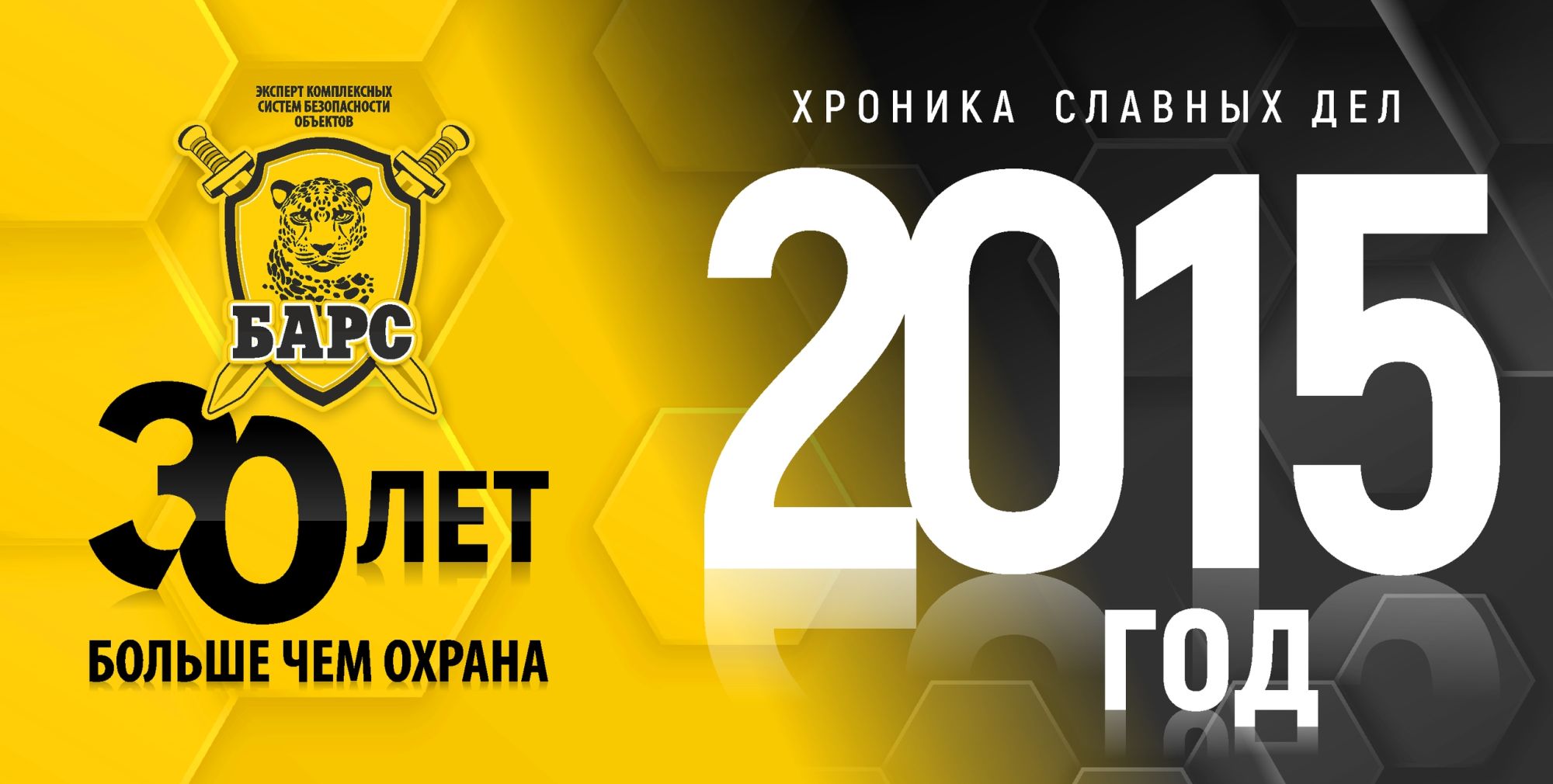 Хроники славных дел. Год 2015