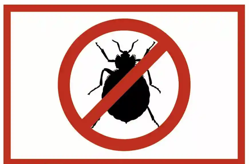 Осторожно клещи! Или что нужно знать об акарицидных обработках?