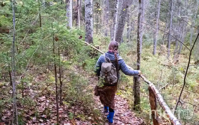 8 правил безопасного поведения в лесу для грибников и ягодников