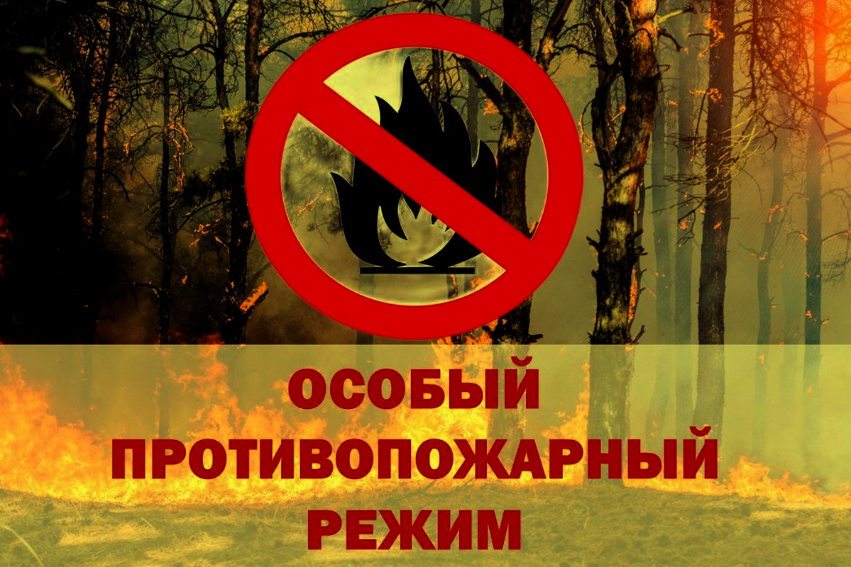В Томске объявлен особый противопожарный режим