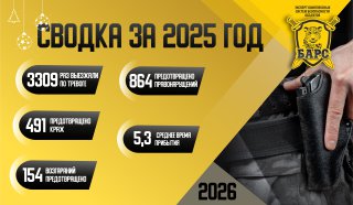 Сводка реагирования ГБР «Барс» за 2025 год