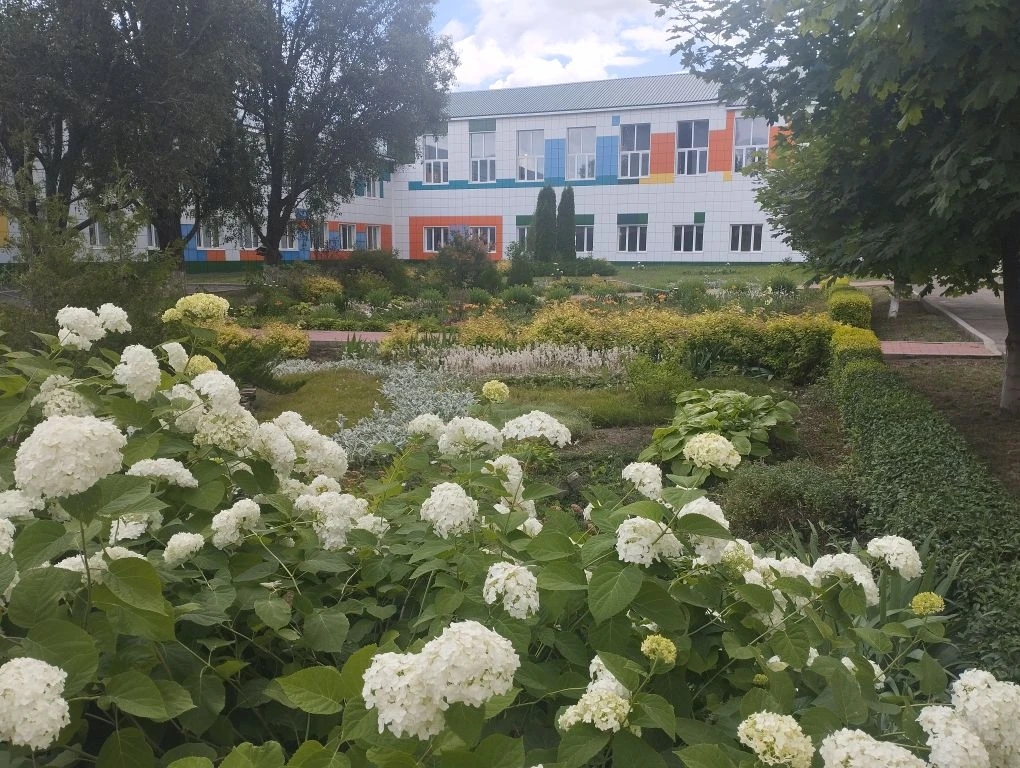 школа 22.jpg школа 22.jpg
